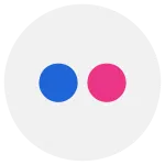 Flickr Social Media Communication Conversation Internet Network SVG Icon